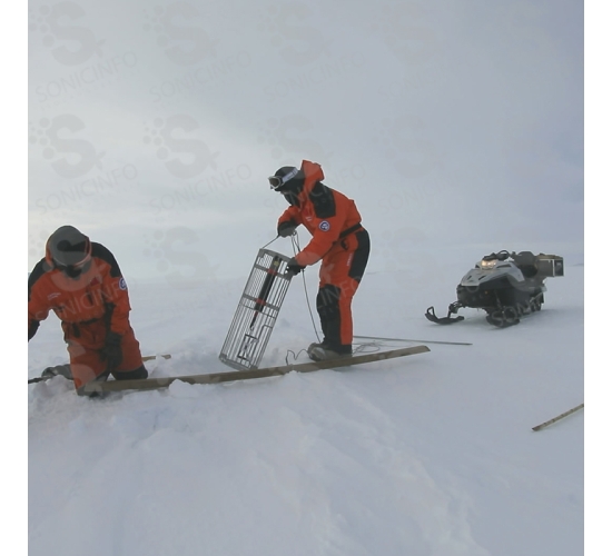 LoPAS-L南极开展哺乳动物声信号监测
